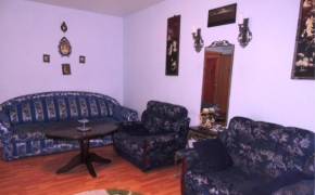 Navaginskaya 12 Apartment